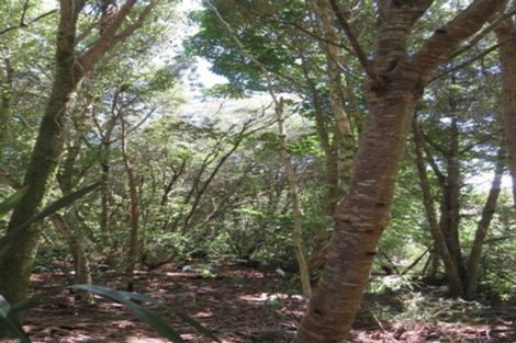 Photo of property in 18 Omarae Road, Pahi, Paparoa, 0571