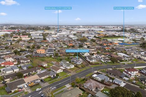Photo of property in 103 Fitzroy Street, Papatoetoe, Auckland, 2104