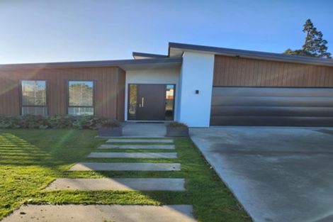 Photo of property in 14 Dillon Street, Blenheim, 7201