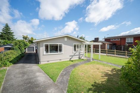 Photo of property in 54 Windsor Street, Terrace End, Palmerston North, 4410