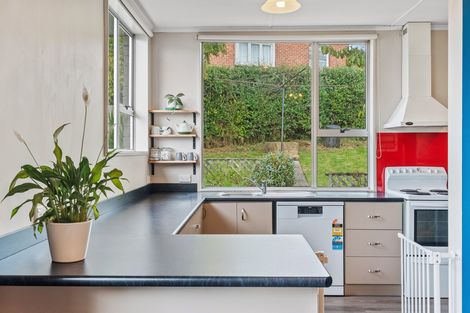 Photo of property in 32 Ventnor Street, Mornington, Dunedin, 9011