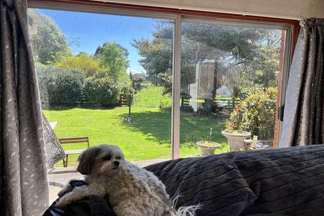 Photo of property in 35 Neptune Street, Dannevirke, 4930