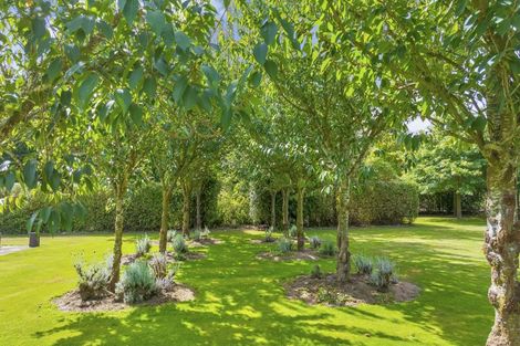 Photo of property in 1217 Hoskyns Road, Kirwee, Christchurch, 7671