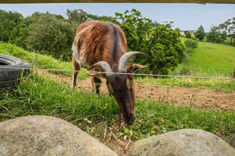Photo of property in 66 Mcgiven Drive, Ridgewood, New Plymouth, 4371