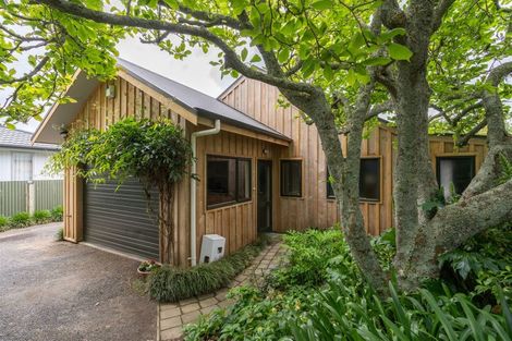 Photo of property in 88a Nixon Street, Hamilton East, Hamilton, 3216