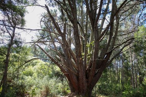 Photo of property in 538 Waiwhero Road, Ngatimoti, Upper Moutere, 7175