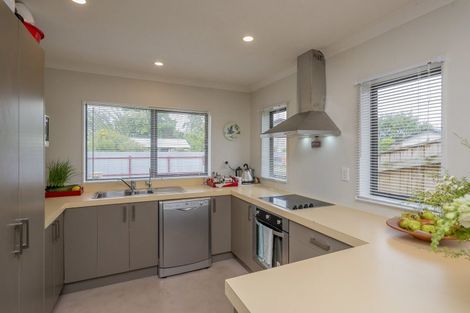 Photo of property in 6 Monarch Mews, Levin, 5510