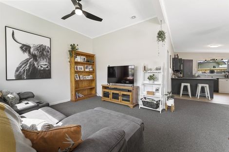 Photo of property in 116 Tarbert Street, Alexandra, 9320