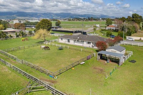 Photo of property in 140 Mako Mako Road, Levin, 5510