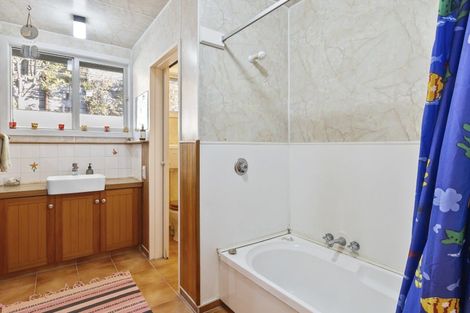 Photo of property in 46b Norfolk Street, Saint Clair, Dunedin, 9012