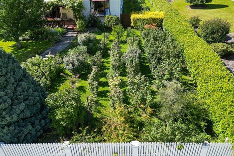 Photo of property in 36 Irvine Street, Lawrence, 9532