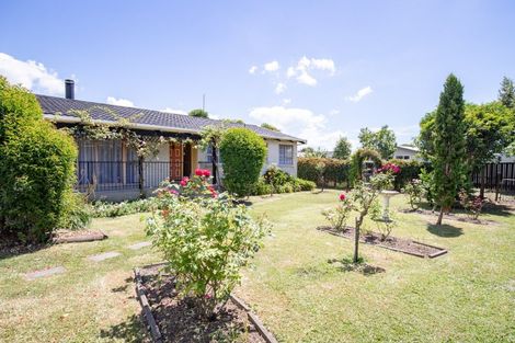 Photo of property in 10 Pinnock Place, Ngatea, 3503