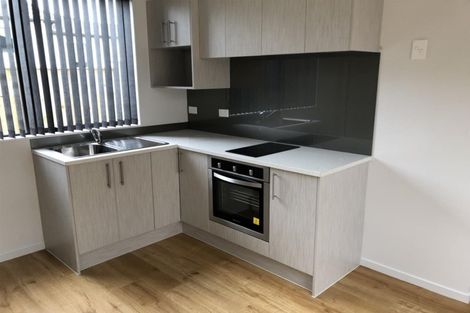 Photo of property in 9 Fricker Way, Flat Bush, Auckland, 2019