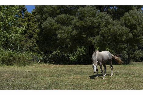 Photo of property in 41 Te Ra Road, Kaeo, Kerikeri, 0295