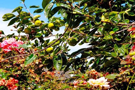 Photo of property in 26 Omagh Avenue, Papatoetoe, Auckland, 2025