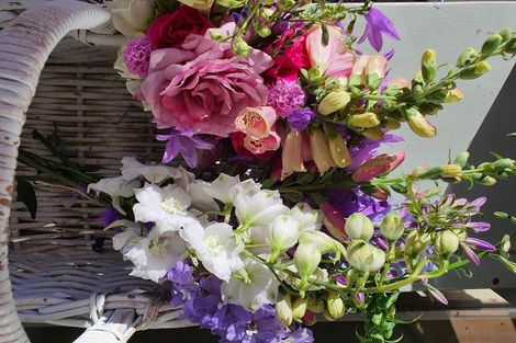 Photo of property in 44 Napier Road, Havelock North, 4130