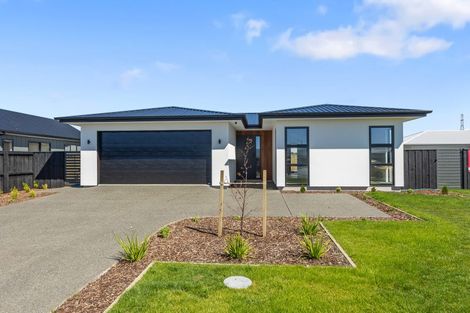 Photo of property in 25 Longfields Road, Lincoln, 7608