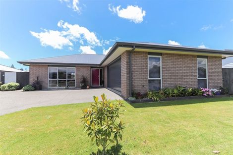 Photo of property in 14 Estate Grove, Inglewood, 4330