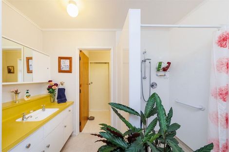 Photo of property in 52 Glasgow Terrace, Feilding, 4702
