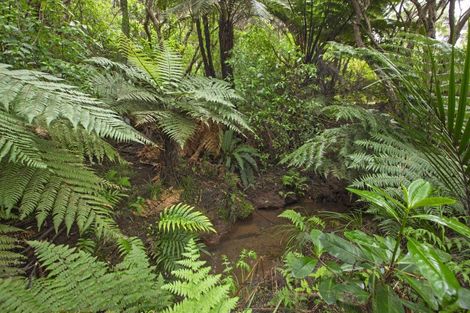 Photo of property in 1615 Whaanga Road, Raglan, 3296