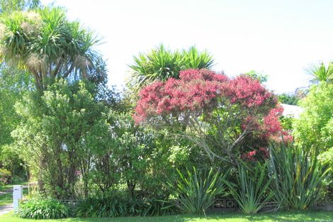 Photo of property in 17 Oswald Street, Mangapapa, Gisborne, 4010