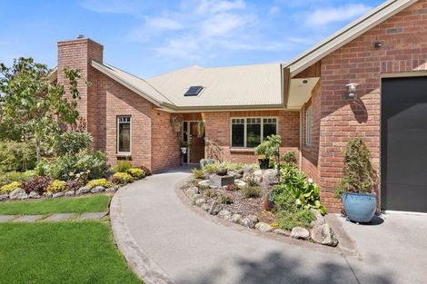 Photo of property in 120 Burwood Road, Matamata, 3400