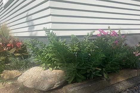 Photo of property in 37 Grey Street, Shannon, 4821