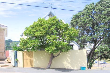 Photo of property in 87 Wright Street, Mount Cook, Wellington, 6021