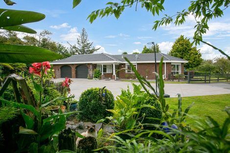 Photo of property in 10 Rowling Place, Leamington, Cambridge, 3432