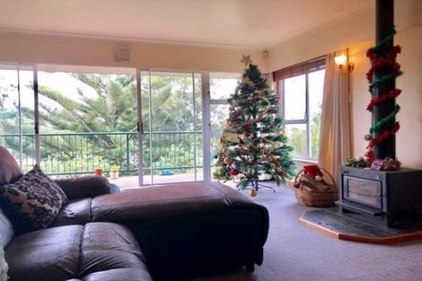 Photo of property in 117 Stredwick Drive, Torbay, Auckland, 0630