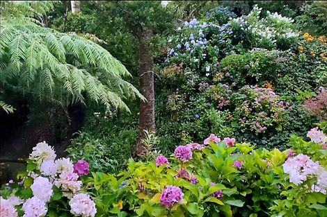 Photo of property in 36a Upland Road, Kelburn, Wellington, 6012