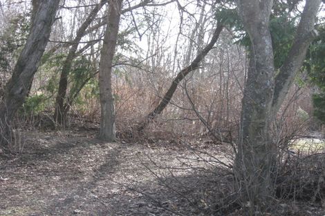 Photo of property in 6 Foyle Street, Naseby, 9396