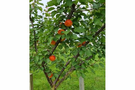 Photo of property in 228 Powells Road, Starvation Hill, Oxford, 7495