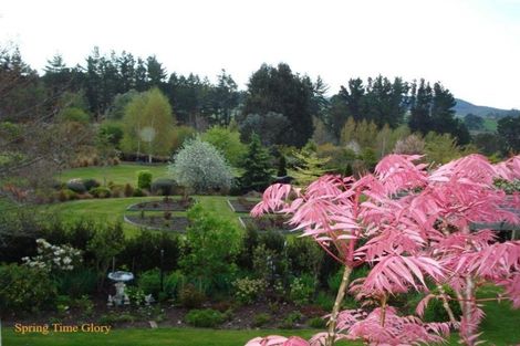 Photo of property in 351 Clearwater Lane, Rangatira Park, Taupo, 3384