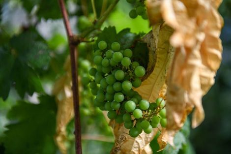 Photo of property in 301 Kaitangata Highway, Stirling, 9231