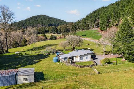 Photo of property in 1513 Hikumutu Road, Hikumutu, Taumarunui, 3992