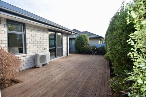 Photo of property in 28a Plunket Street, Spreydon, Christchurch, 8024