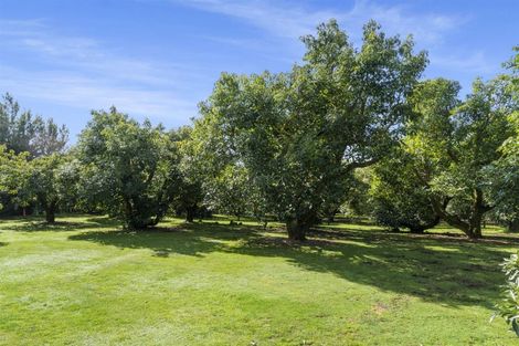 Photo of property in 61b Gill Lane, Te Puna, Whakamarama, 3174
