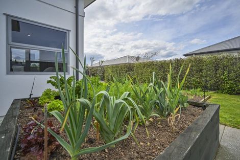 Photo of property in 25 Percy Berry Place, Havelock North, 4130