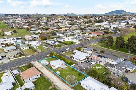 Photo of property in 683 Park Road, Te Awamutu, 3800