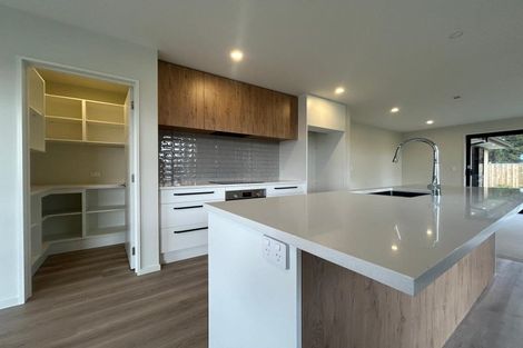 Photo of property in 24 Derbridge Street, Woodend, 7610