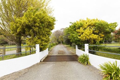 Photo of property in 229 Kellow Road, Rongotea, Palmerston North, 4476