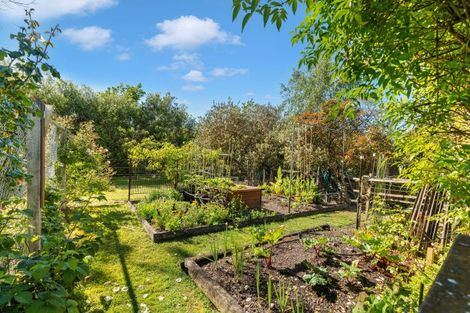 Photo of property in 94 Titoki Street, Lansdowne, Masterton, 5810