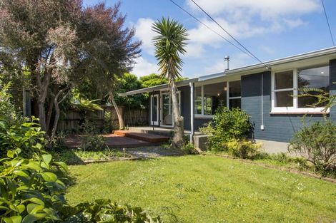 Photo of property in 23 Princes Street, Waihi, 3610