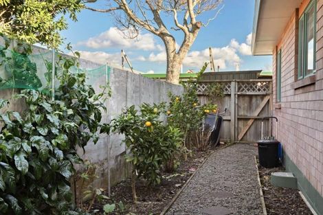 Photo of property in 2h Buckland Road, Tuakau, 2121