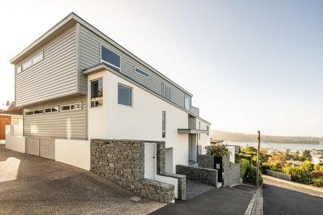 Photo of property in 29 Selkirk Street, Roslyn, Dunedin, 9010