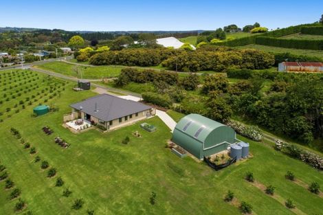 Photo of property in 225b Plummers Point Road, Whakamarama, Tauranga, 3172