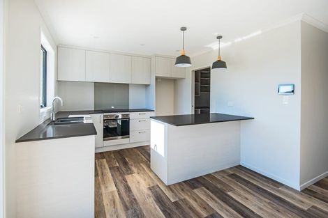 Photo of property in 101 Harriet Johnston Drive, Pokeno, 2402