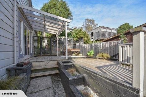 Photo of property in 129 Evans Street, Opoho, Dunedin, 9010