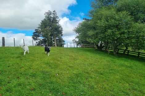 Photo of property in 1089 Mairoa Road, Mangaotaki, Piopio, 3971